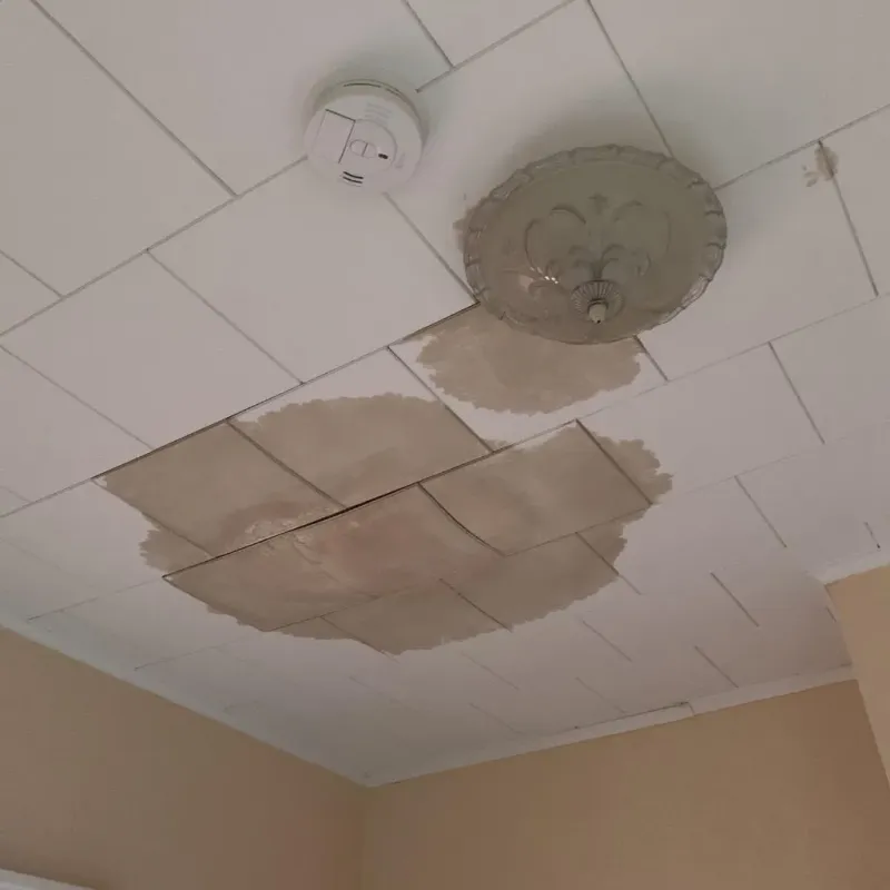 Ceiling Water Damage Repair in Duck Hill, MS