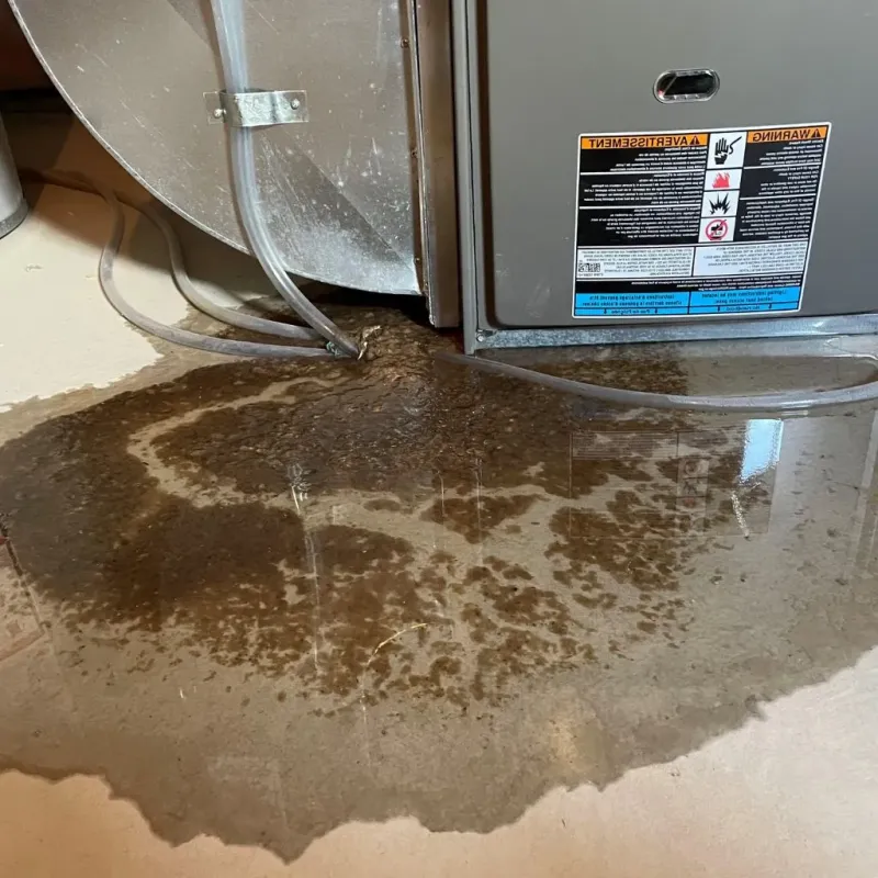 Pipe Burst and Leak Restoration in Duck Hill, MS
