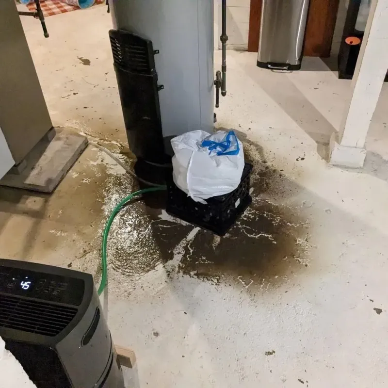 Sewage Backup Cleanup Service in Duck Hill, MS